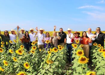 Comenzó la Temporada de Girasoles 2025 en González