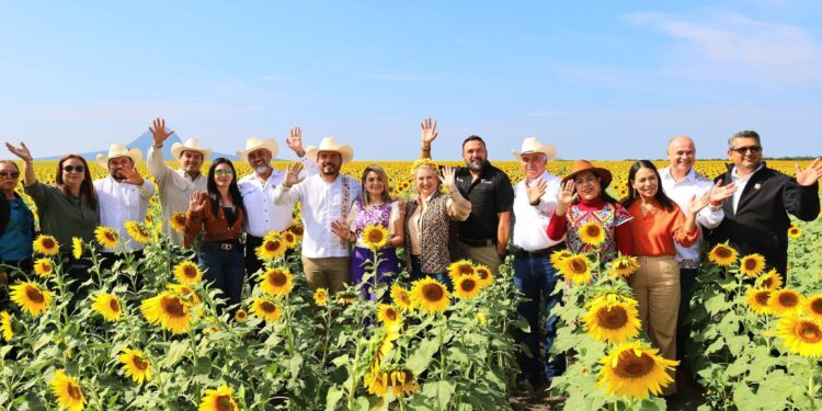 Comenzó la Temporada de Girasoles 2025 en González