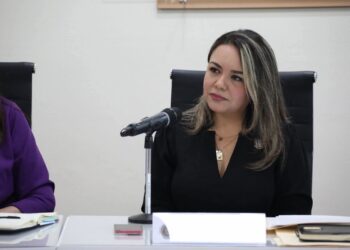 Nueva reforma hídrica garantiza abasto igualitario para todos: Diputada Elvia Eguía