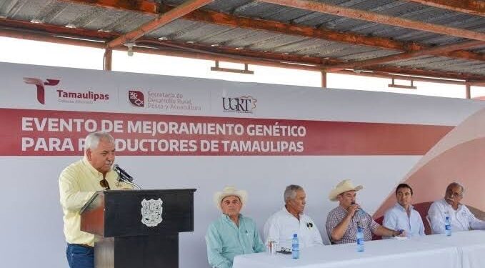 Casos de gusano barrenador no afecta a los cárnicos; Siguen siendo comestibles