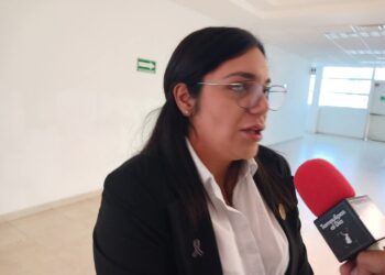 Tras consejo nacional de Morena definen bases para consejos municipales 