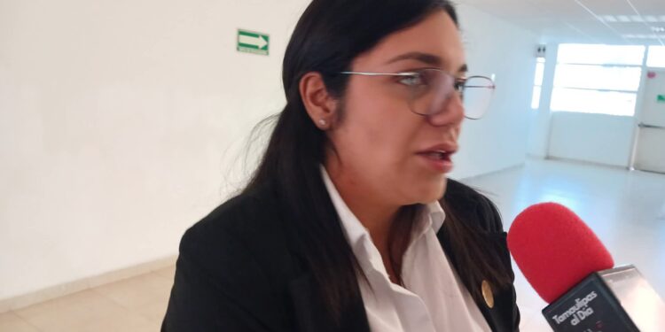 Tras consejo nacional de Morena definen bases para consejos municipales 