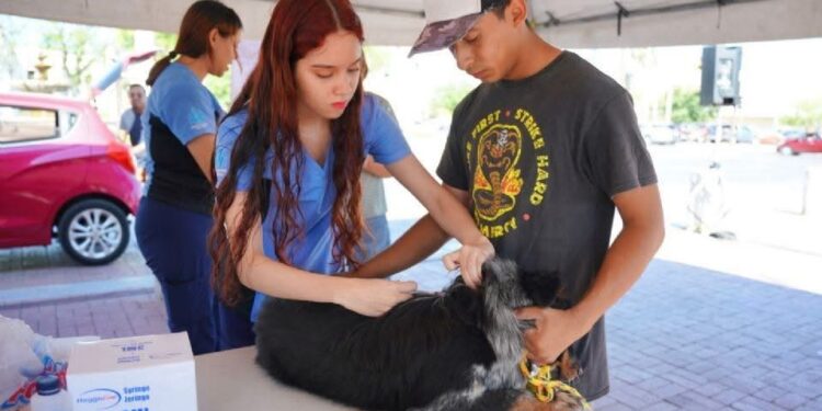 Exhorta gobierno municipal de Nuevo Laredo a vacunar mascotas contra la rabia